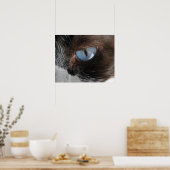 Poster Oeil de chat (Cuisine)