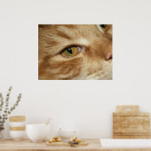 Poster oeil de chat (Cuisine)