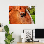 Poster Oeil de châtaignier Gelding Cheval Equine Photo 2 (Bureau à domicile)