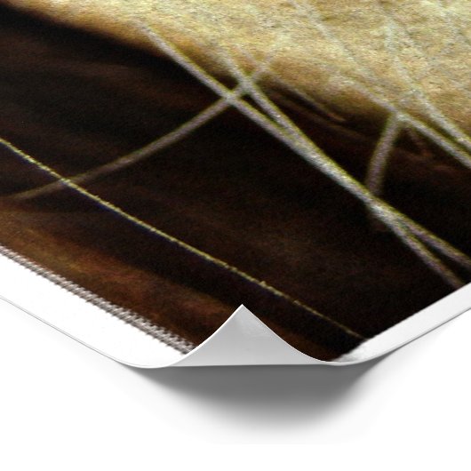 Poster Oeil de cheval noir (Coin)