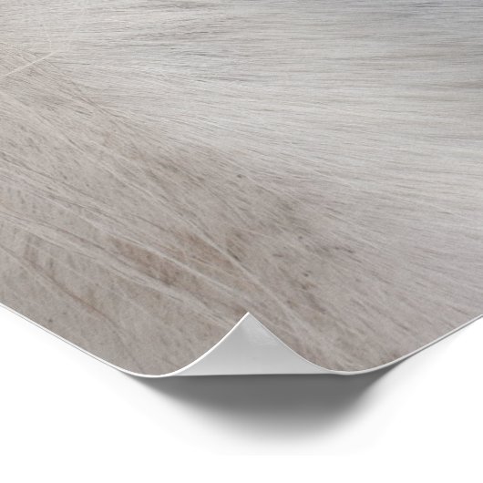 Poster Oeil de cheval Percheron blanc (Coin)