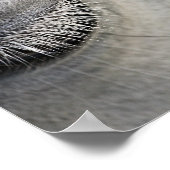 Poster oeil de chevaux, photo noir et blanc (Coin)