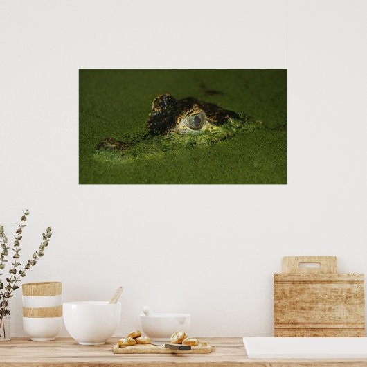 Poster Oeil de crocodile (Cuisine)