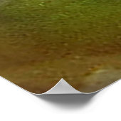 Poster OEil de grenouille (Coin)