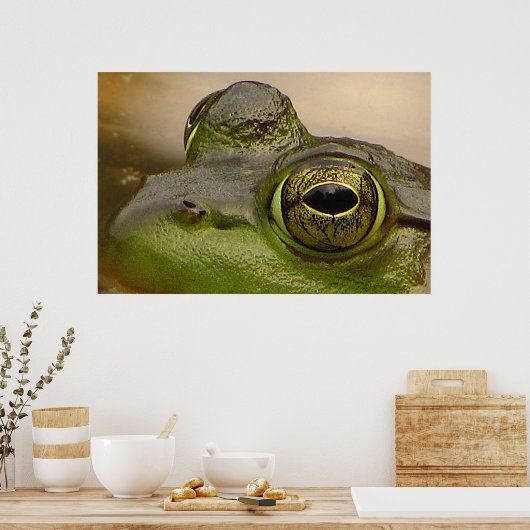 Poster OEil de grenouille (Cuisine)