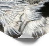 Poster Oeil de hibou (à droite) (Coin)