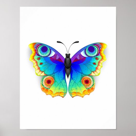 Poster Oeil de paon arc-en-ciel (Devant)