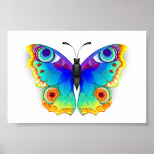 Poster Oeil de paon arc-en-ciel