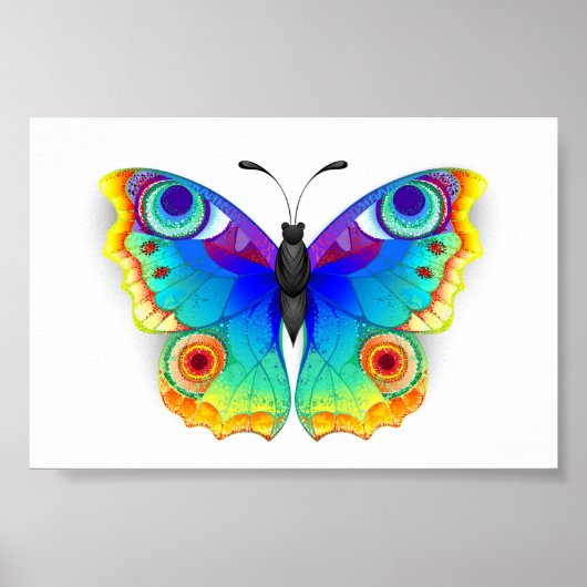 Poster Oeil de paon arc-en-ciel (Devant)