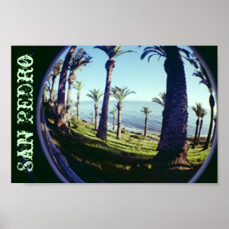 Poster Oeil de poisson San Pedro Palm Trees Côtes