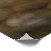 Poster oeil de serpent (Coin)