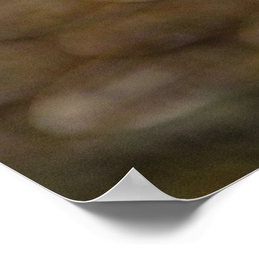 Poster oeil de serpent (Coin)