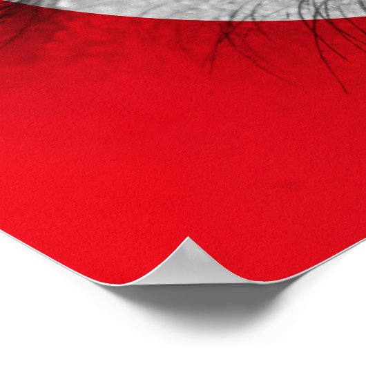 Poster Oeil de Turquie (Coin)