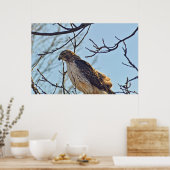 Poster Oeil des Hawks (Cuisine)