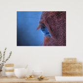 Poster OEil doux d'un cheval Sorrel aimant (Cuisine)