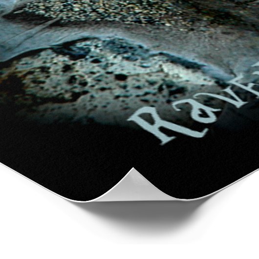 Poster OEil dragon (Coin)