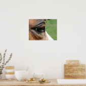 Poster Oeil du cheval (Cuisine)