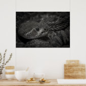Poster oeil du serpent (Cuisine)