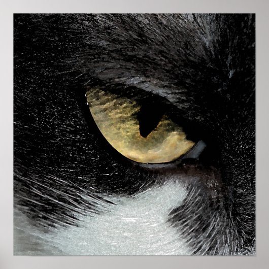 Poster Oeil du tigre (Devant)