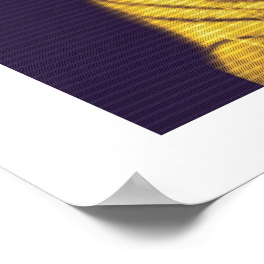 Poster Oeil du tigre (Coin)