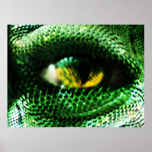 Poster Oeil d'un ... ?