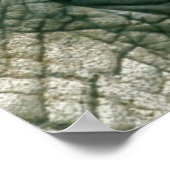 Poster Oeil éléphant (Coin)