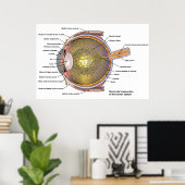 Poster oeil humain (Bureau à domicile)
