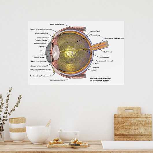 Poster oeil humain (Cuisine)