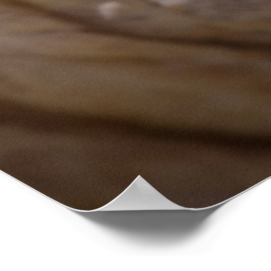 Poster OEil octopique (Coin)