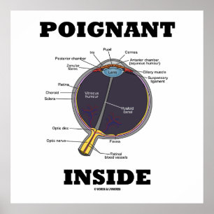 Poster Oeil Poignant (I) À L'Intérieur (Oeil Anatomique)