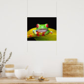 Poster Oeil rouge Treefrog, Agalychinis callidryas, autoc (Cuisine)