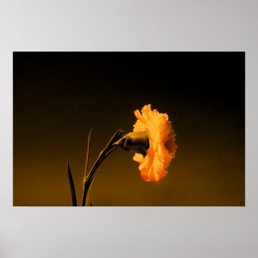 Poster oeillet (Devant)