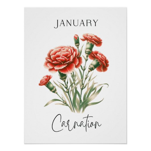Poster Œillet du mois de naissance de janvier (Devant)