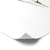 Poster Oeillets d'impression botaniques Vintages et simpl (Coin)