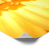 Poster Oeillets et gerbera jaune (Coin)