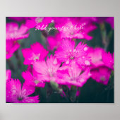 Poster Oeillets sauvages après la pluie (Devant)