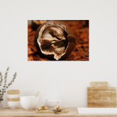 Poster OEuf de dinosaure avec embryon (Cuisine)