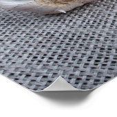 Poster OEufs crus, ail et épices dans la cuisine (Coin)