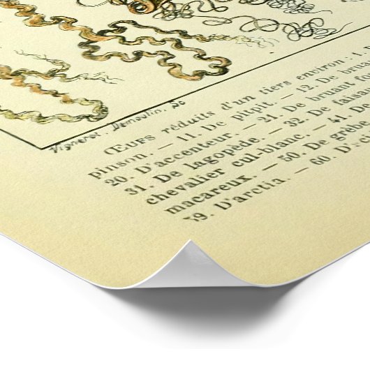 Poster OEufs d'antiquité Décor d'intérieur d'art mur (Coin)