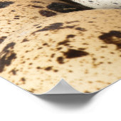 Poster Oeufs de caille (Coin)