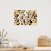Poster Oeufs de caille (Cuisine)