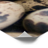 Poster Oeufs de caille, Huaraz, Cordillère Blanca, Ancash (Coin)