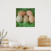 Poster Oeufs du marché français (Cuisine)