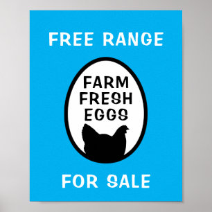 Poster Oeufs frais de ferme