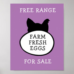 Poster Oeufs frais de ferme