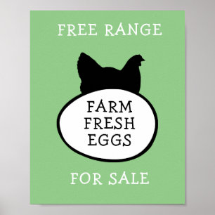 Poster Oeufs frais de ferme