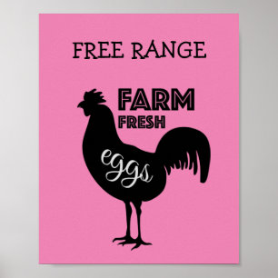 Poster OEufs frais de ferme à gamme libre
