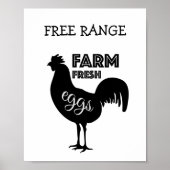 Poster OEufs frais de ferme à gamme libre (Devant)