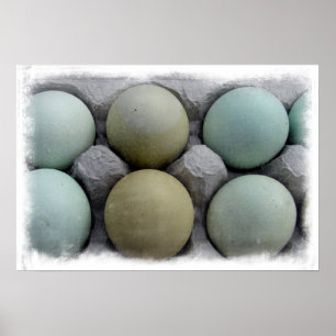 Poster Oeufs verts