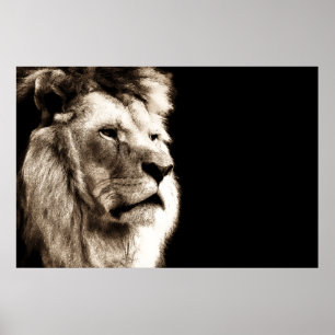Poster OEuvre artistique de Sepia Lion Animal